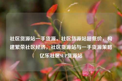 社区货源站一手货源	，社区货源站超低价，构建繁荣社区经济，社区货源站与一手货源策略亿乐社区SUP货源站  第1张