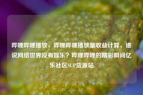 哔哩哔哩播放，哔哩哔哩播放量收益计算	，谁说网络世界没有娱乐？哔哩哔哩的精彩瞬间亿乐社区SUP货源站  第1张
